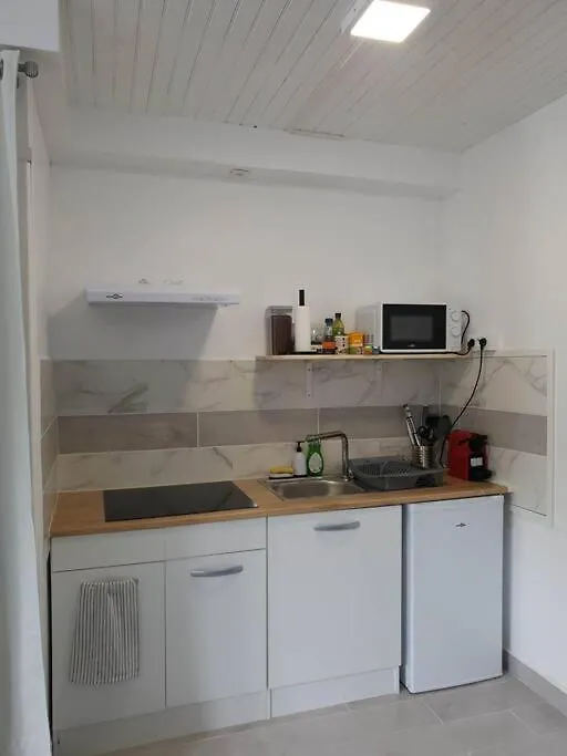 Studio Avec Jardin Et Barbecue, 2 Pers Thiers 0*,